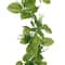 6ft. Greenery Garland by Ashland®